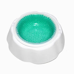 Pet Cooling Bowl