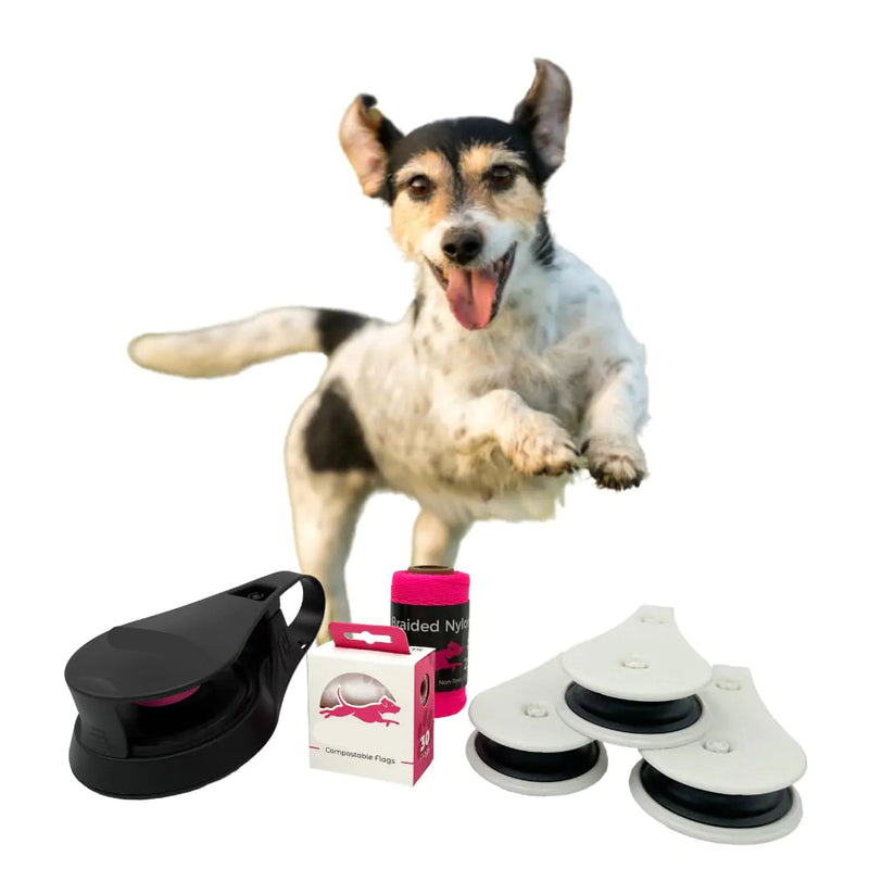 Interactive Dog Chase Toy