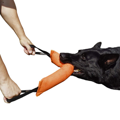Dog Tug Toy